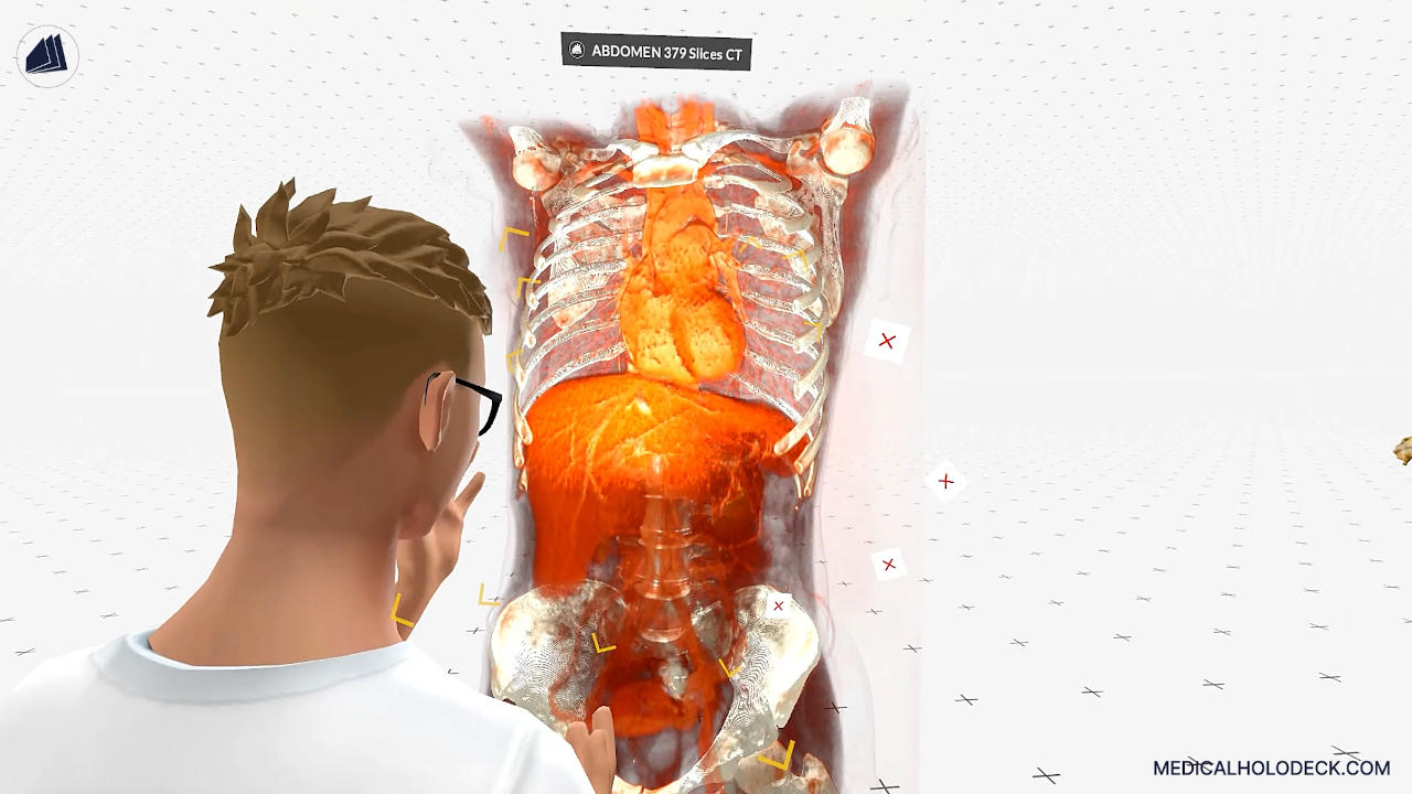 The liver thumbnail 5